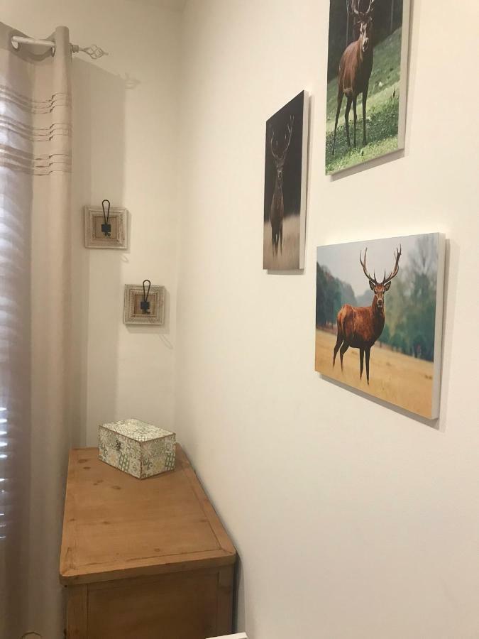 Apartament Neret II Sort Ngoại thất bức ảnh
